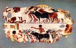 Kohtaus, joka esittää suuren karjalauman ajamista egyptiläisellä maatilalla, n. 1350 eKr., 1915. tekijältä Unbekannt