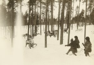 Ruotsi. Rag (siemen), kun pyydystetään poroa. Noin 1900 tekijältä Unbekannt