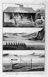 Merikalastus, silli ja sardiinit, 1751-1777 tekijältä Unbekannt
