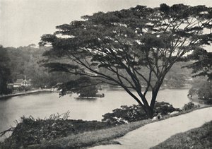 Järvi, Temple of the Sacred Tooth Reed ja kirjasto Kandyssa, katsottuna Victoria Drivesta itään, 192 tekijältä Unbekannt