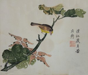Seeds and Aleurites Cordata: Sivu sinapinsiemenpuutarhan käsikirjasta..., 1782, 2. painos. tekijältä Unbekannt