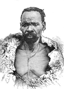 Puu, c1880 tekijältä Unbekannt