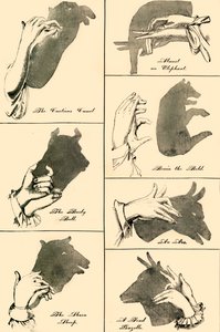 Varjokuvia ja siluetteja, 1883. tekijältä Unbekannt