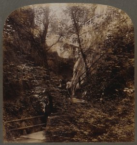 Maailmanlaajuinen Shanklin Chine, Isle of Wight, Englanti, 1910. tekijältä Unbekannt