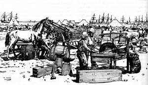Shoeing Forge of the New South Walesin tykistö Suakimissa, c1885, 1902 tekijältä Unbekannt