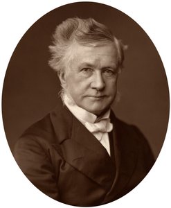 Sir Robert Lush, High Court of Justicen tuomari, 1881 tekijältä Unbekannt