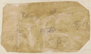 Kuusi taistelueläinryhmää, 1700-luku. tekijältä Unbekannt