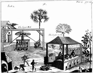 Orjatyövoimaa sokeriviljelmällä Länsi-Intiassa, 1725 tekijältä Unbekannt