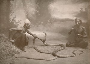 Snake Charmers ja Hamadryads Kuy Cobras, 1900. tekijältä Unbekannt