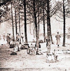 Sotilaita ja laumia metsässä, c1914-c1918 tekijältä Unbekannt