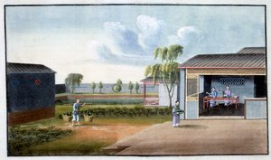 Teelajittelu, 1800-luku tekijältä Unbekannt