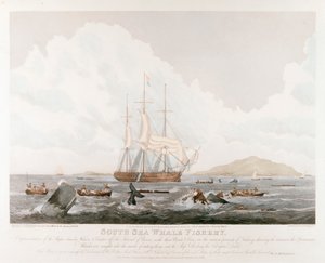 Etelämeren valaiden kalastus, 1825 tekijältä Unbekannt