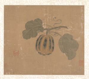 Squash. tekijältä Unbekannt