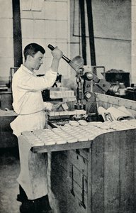 Leimaavat saippuapalat, c1917 tekijältä Unbekannt