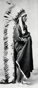 Pysyvä karhu, Dakota Siouxin päällikkö, Pohjois-Amerikan tasangon intiaanit, c1885-c1890 tekijältä Unbekannt