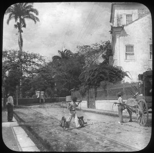 Katukuvaus, Pernambuco, Brasilia, 1800-luvun loppu tai 1900-luvun alku tekijältä Unbekannt