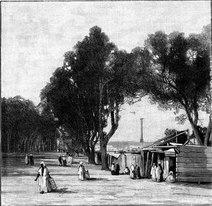 Katukuva, jossa Pompeuksen pilari kaukaisuudessa, Aleksandria, Egypti, 1900 tekijältä Unbekannt