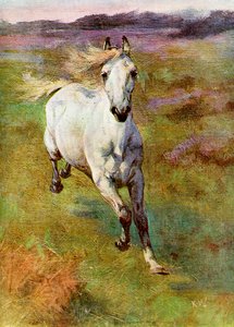 Study from Life for Colt Hunting in the New Forest, 1899 tekijältä Unbekannt