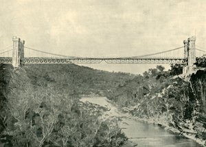 Suspension Bridge, North Sydney, 1901. tekijältä Unbekannt