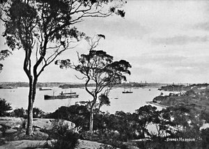 Sydneyn satama, Cremorne Pointista, c1900. tekijältä Unbekannt