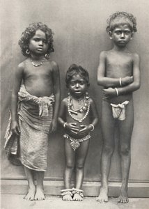 Tamulenkinder, 1926 tekijältä Unbekannt