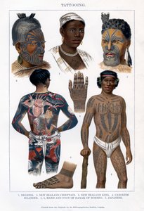 Tatuointi, 1800-1900 tekijältä Unbekannt