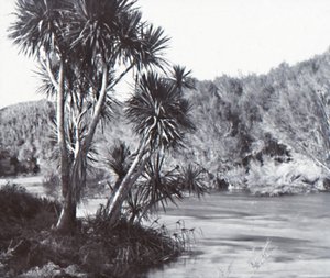 Te Waihou -joki, Okoroire, 1800-luvun loppu - 1900-luvun alku. tekijältä Unbekannt