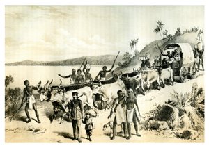 Saapuminen Ngami-järvelle, 1883 tekijältä Unbekannt
