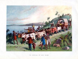 Saapuminen Ngami-järvelle, 1800-luku tekijältä Unbekannt