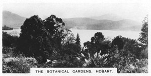 Kasvitieteellinen puutarha, Hobart, Tasmania, 1928 tekijältä Unbekannt