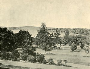 Sydneyn kasvitieteellinen puutarha, 1901. tekijältä Unbekannt