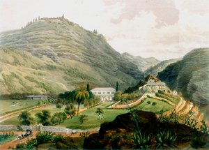 The Briars, St Helena, 1800-luvun alku 1851 tekijältä Unbekannt