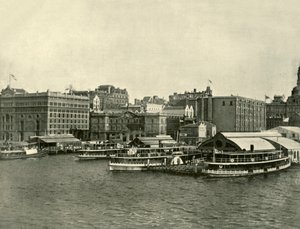 The Circular Quay, Sydney, 1901. tekijältä Unbekannt