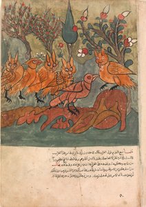 Varisvakooja puhuu pöllökuninkaan ja hänen ministereilleen, Folio Kalilasta..., 1700-luku. tekijältä Unbekannt