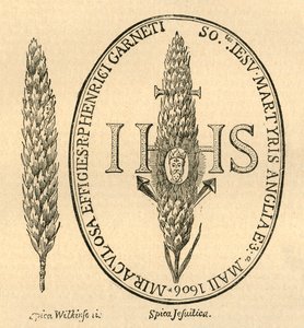Kasvot oljessa. - Abbots Anthologiasta, 1613, 1897. tekijältä Unbekannt