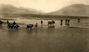 Ensimmäinen näkymä Mount Everestille, c1918-c1939. tekijältä Unbekannt