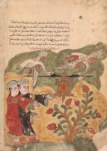 Kilpikonnan lento, Folio Kalila wa Dimnasta, 1700-luku. tekijältä Unbekannt
