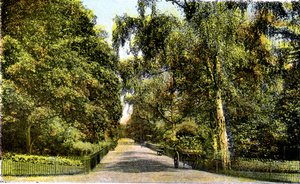 Flower Walk, Kensington Gardens, Lontoo, 1900-luku tekijältä Unbekannt