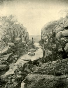 The Gorge, Buffalo Falls, Victorian Alps, 1901. tekijältä Unbekannt