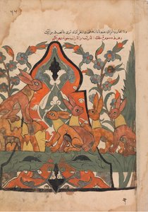 Jäniksen kuningas neuvottelee alamaistensa kanssa, Folio Kalila wa Dimnasta, 1700-luku. tekijältä Unbekannt