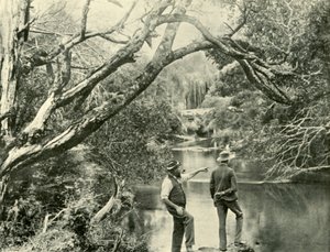 Laukaisupaikka, Upper Yarra, Victoria, 1901. tekijältä Unbekannt