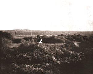 The New Forest, Hampshire, 1894. tekijältä Unbekannt