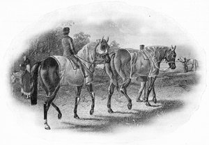 Seuraava rotu, 1800-luku, 1911 tekijältä Unbekannt