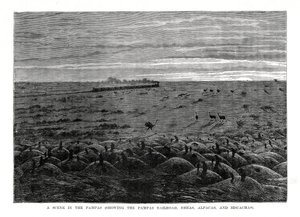 Pampas-rautatie, Etelä-Amerikan alamaat, 1877 tekijältä Unbekannt