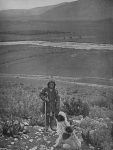 Marathonin tasango, 1913 tekijältä Unbekannt