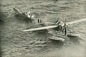 Paluu kyyhkyseen arkkiin, 1919. tekijältä Unbekannt