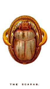 Skarabee, 1923 tekijältä Unbekannt