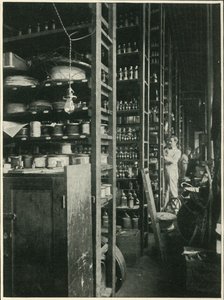 Edisons Laboratoryn hyllyt, joissa näytteitä kaikista tunnetuista aineista, 1902. tekijältä Unbekannt