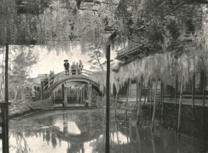Te New Ginoike Pon d Plan d Wisteria, Kameido, Toi, Japani, 1895. tekijältä Unbekannt