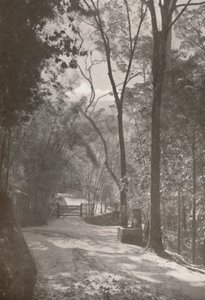 Tijucan henki, 1914 tekijältä Unbekannt